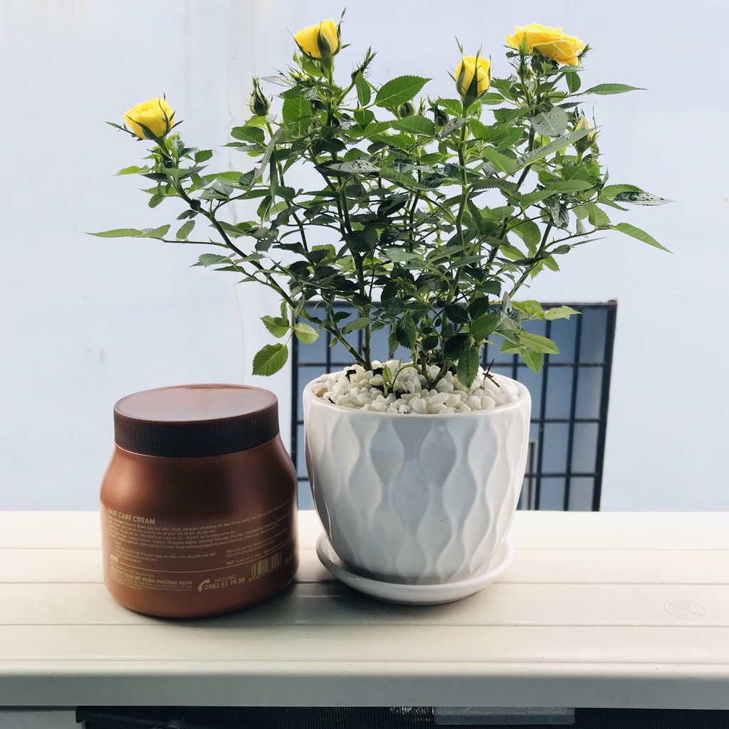 Kem ủ tóc (hấp dầu) Collagen Coconut Karanz 500ml, 1000ml