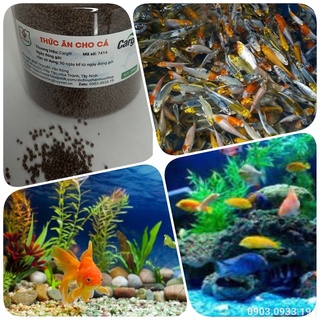 Thức ăn cho cá cảnh, cá koi, guppy 40% đạm hộp 200gr hạt 1mm cho cá koi, guppy, ba đuôi