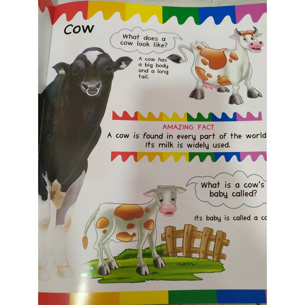Sách - My First Questions & Answers - Farm Animals - 8935072923204 | BigBuy360 - bigbuy360.vn