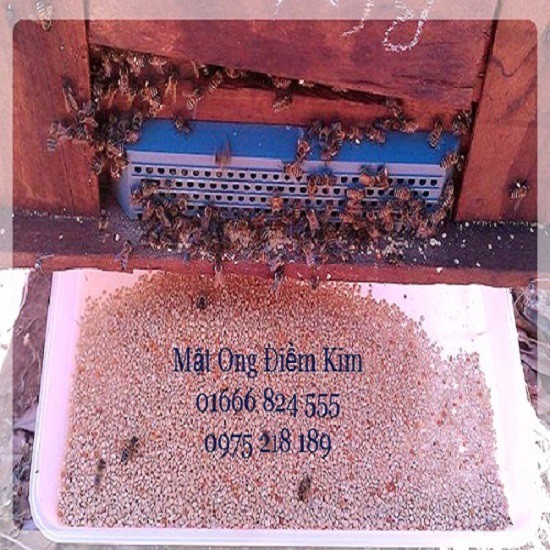 Phấn hoa ngâm mật ong | Thế Giới Skin Care