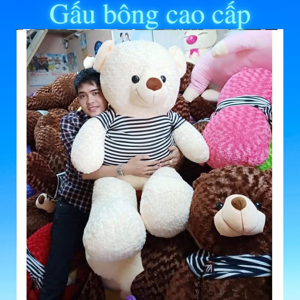 Gấu bông Teddy 🛡𝑯𝒂̀𝒏𝒈 𝑪𝒂𝒐 𝑪𝒂̂́𝒑🛡, gối ôm hình thú nhồi bông siêu to khổng lồ 1m8/1m5/1m3/1m1/95cm