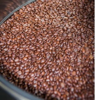 Cà phê Robusta Honey dùng cho pha máy