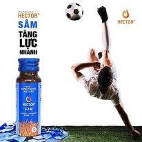 SÂM ĐÔNG TRÙNG HẠ THẢO HECTOR