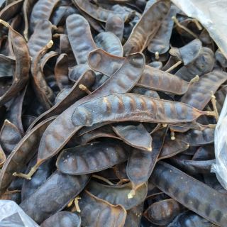 1 Kg bồ kết trái
