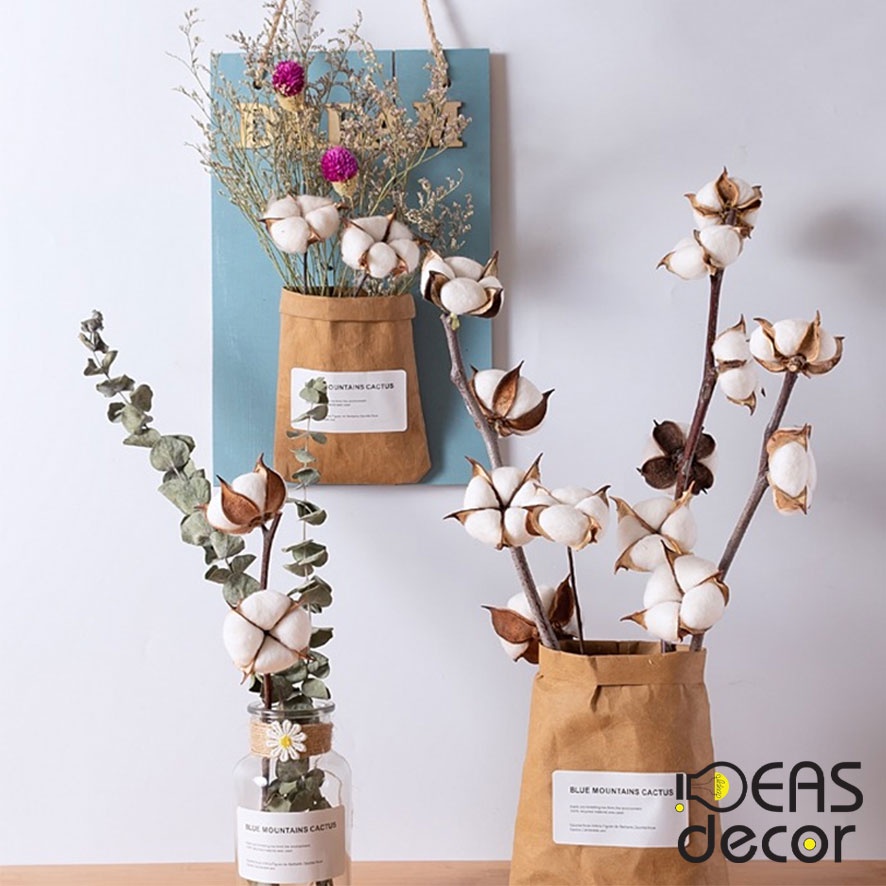 Cành hoa gòn khô mẫu 1 - Trang trí chụp ảnh, background sản phẩm, decor phòng, cửa hàng và nhà cửa - Ideas Decor