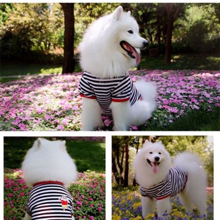 Áo sọc đen shin bút chì cho cún lớn alaska, golden, samoyed