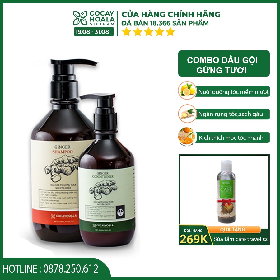 Dầu gội đầu gừng - Bộ Dầu Gội Xả Chiết Xuất Gừng Dừa An Toàn Cho Mẹ Sau Sinh Cocayhoala 500 ml | BigBuy360 - bigbuy360.vn