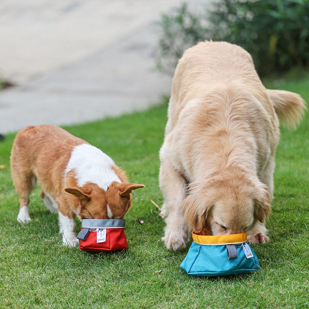 Ynatural Túi Đựng Thức Ăn Cho Thú Cưng Khi Đi Cắm Trại / Du Lịch / Leo Núi Gấp Gọn