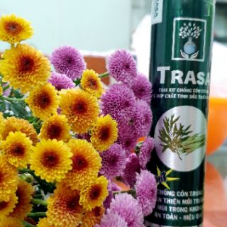 Chai xịt chống côn trùng TRASA 120 ml