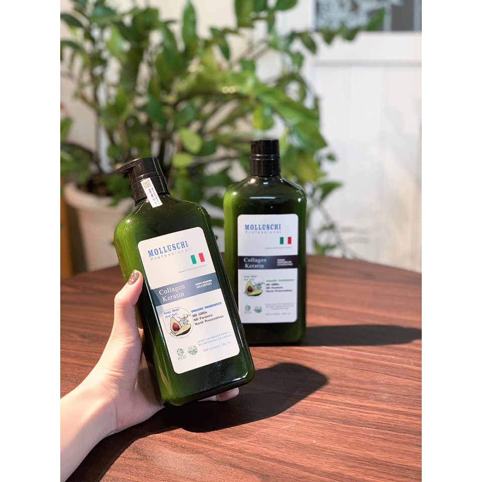 Dầu Gội Phục Hồi Molluschi 760ml x 2