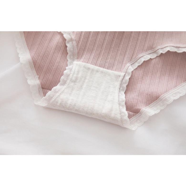 Quần Lót Nữ ❤️ Quần Cotton Nữ Phối Viền Họa Tiết Hình Thỏ và Gấu 485