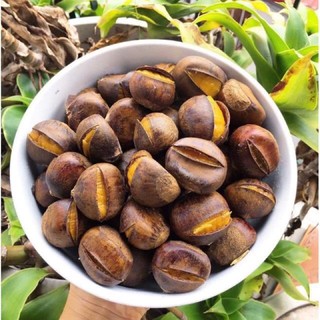 Hạt dẻ Trùng Khánh (loại chín)