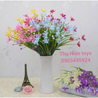 Hoa Giả - Hoa Thủy Tiên
