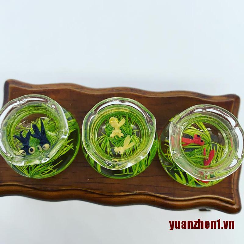 Hồ Cá Mini Bằng Thủy Tinh Dùng Trang Trí Nhà Búp Bê