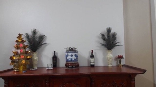 Lông công ~95-100cm loại đẹp mắt 4-6cm | BigBuy360 - bigbuy360.vn