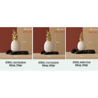 [CAO CẤP] Trái thơm mô hình trang trí CPS-TRCG-13