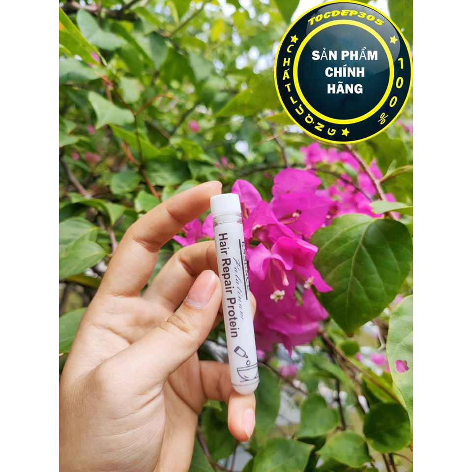 Protein Phục Hồi Tóc Hư Nát Hair Repair Essence 10ml