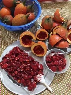 Son dưỡng Gấc Handmade