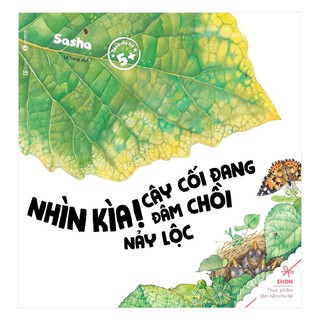 Nhìn Kìa! Cây Cối Đang Đâm Chồi Nảy Lộc
