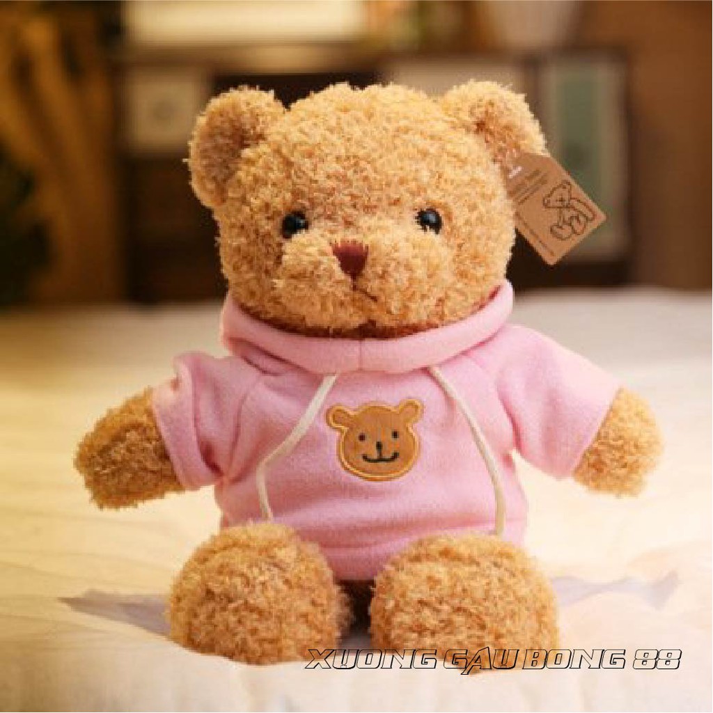 Gấu Bông Đồ Chơi cho bé Teddy Mặc Áo Hoodie Nhiều Màu Nhồi Gòn Cao Cấp Bao Xinh