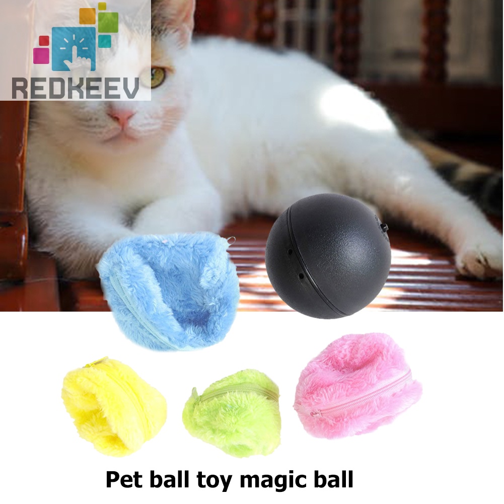 Set 5 quả bóng lăn tự động đồ chơi cho thú cưng