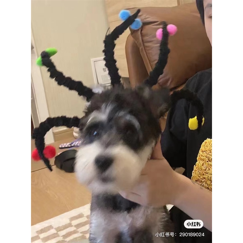Băng Đô Cài Tóc Màu Đen Hóa Trang Phù Thủy Cho Lễ Halloween
