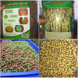 Bộ GIÁ THỂ TRỒNG MẦM GIÁ ( gồm 100gr đậu xanh + 100gr giá thể đất nung )