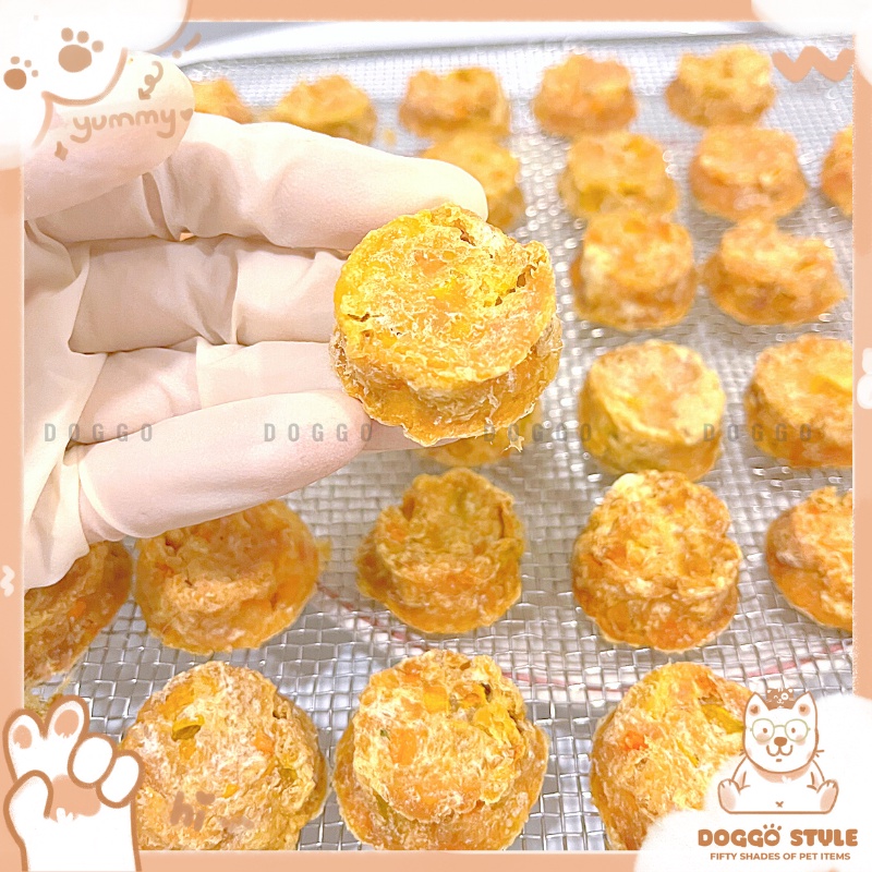 Treat Bánh Thưởng Cho Chó Mèo Phi Lê Gà Trộn Rau Củ Sấy Khô DOGGOSTYLE Homemade Không Chất Bảo Quản 50G