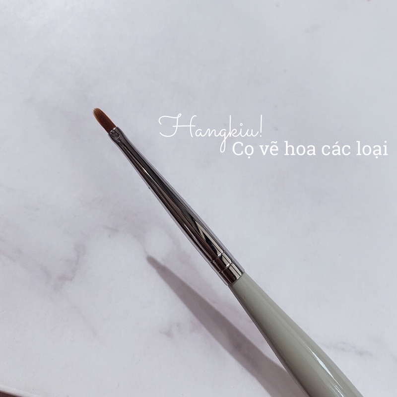 [HANGKIU] CÁC LOẠI CỌ VẼ HOA CÚC CAO CẤP