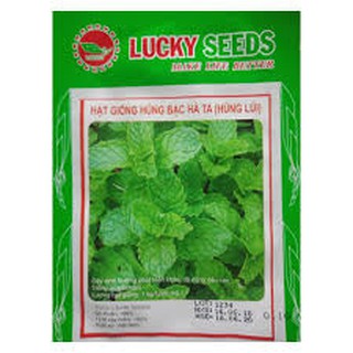 Hạt giống rau húng lủi (bạc hà ta) 0,1G