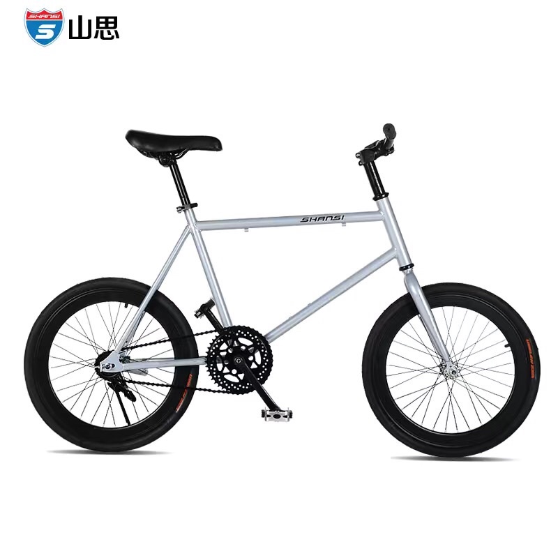 Xe đạp bánh nhỏ 20icnh
