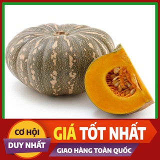 Hạt giống Bí Ngô