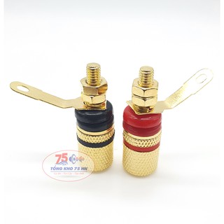 [Mã ELHACE giảm 4% đơn 300K] 02 cái cọc loa bắt ốc ở chân( đơn giá 1 cặp)
