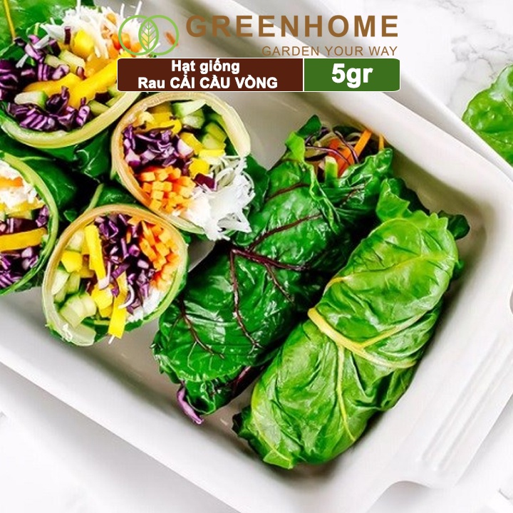 Hạt giống rau Cải cầu vồng Greenhome, gói 5gr, sinh trưởng mạnh, năng suất cao R06