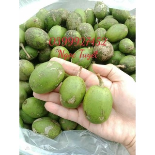1kg Cóc thường