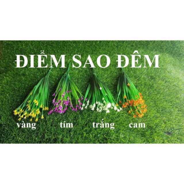 Hoa điểm sao đêm - Cây hoa giả