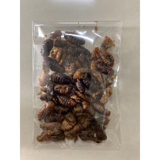 10g nhộng sấy . thức ăn cho hamster. sóc