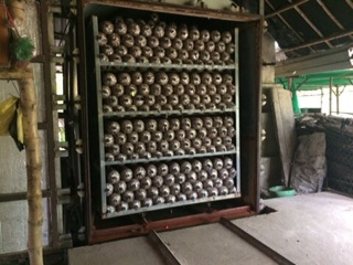 300gram Linh chi sấy khô