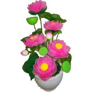 GƯƠNG SEN, ĐÀI SEN(5 cái)