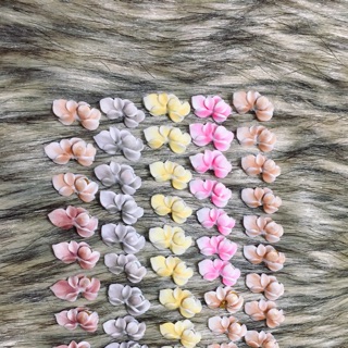 Combo 87bông cúc 870k hoa đẹp chuẩn y hình .hoa ôm vừa khít móng shop còn cung cấp rất nhiều các loai hoa bao đẹp ......