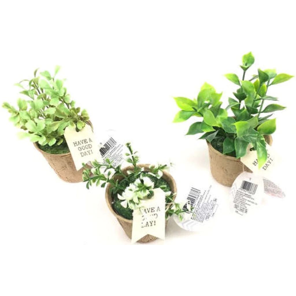 Daiso Chậu cây giả trang trí A