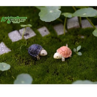 Rùa Đá Mini Phụ Kiện Trang Trí Tiểu Cảnh Sen Đá