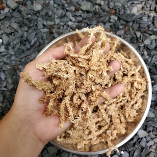Dớn trắng Chile nhập khẩu bọc 100gr