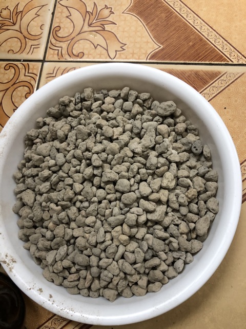 Đá Pumice nhẹ / thoáng/ giữ ẩm tốt (0.5 kg) -  giá thể trồng Sen đá, Phong Lan, cây cảnh ... tốt ✅