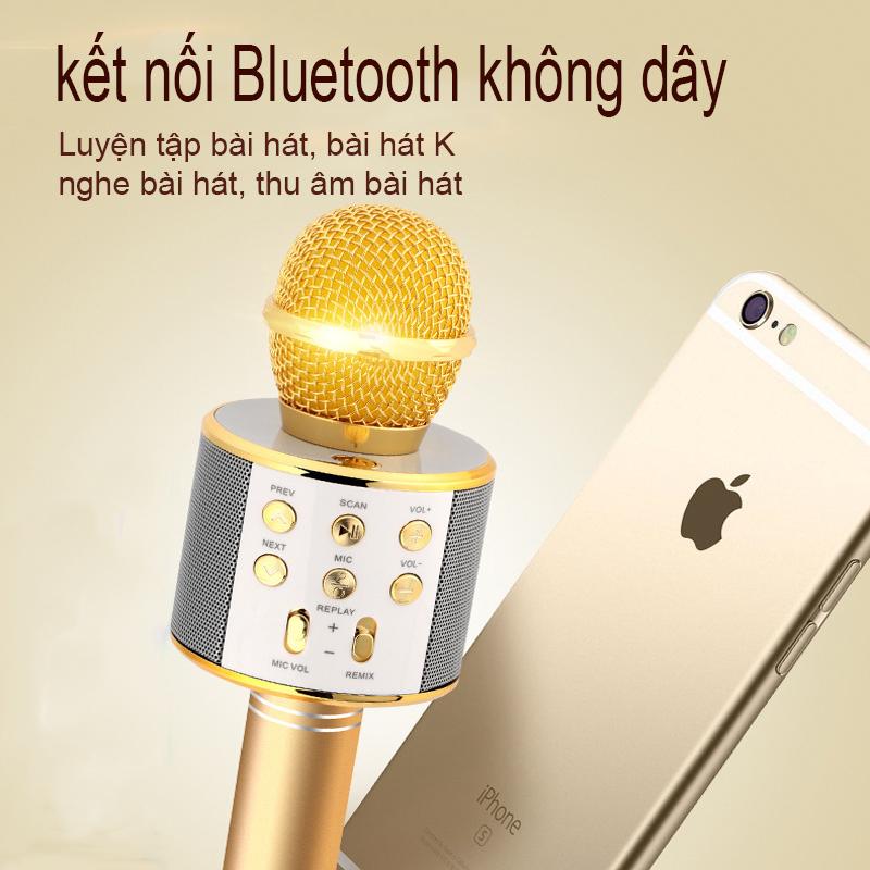 Mic Hát Karaoke Bluetooth Không Dây WS858 Kèm loa Âm vang Ấm mic hát karaoke cầm tay mini micro hát trên xe hơi