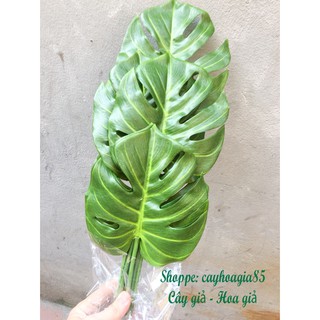 Cây giả _ Cây lá Rùa Cao Cấp