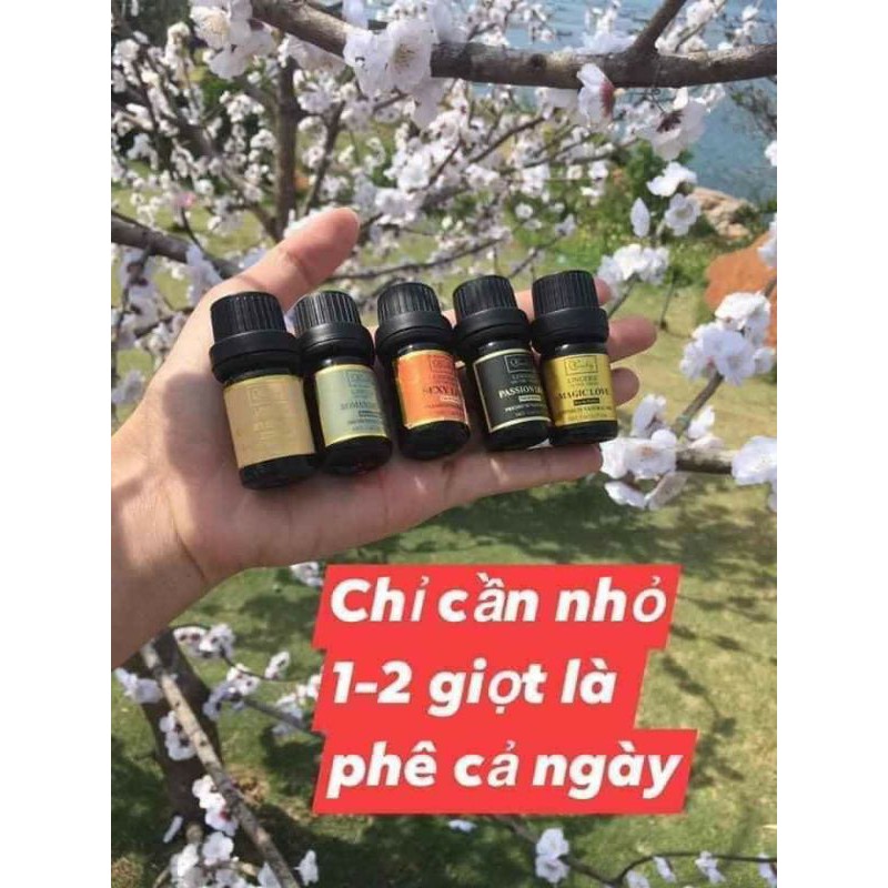 Combo 5 chai 5 mùi Nước Hoa Vùng Kín Qlady | BigBuy360 - bigbuy360.vn