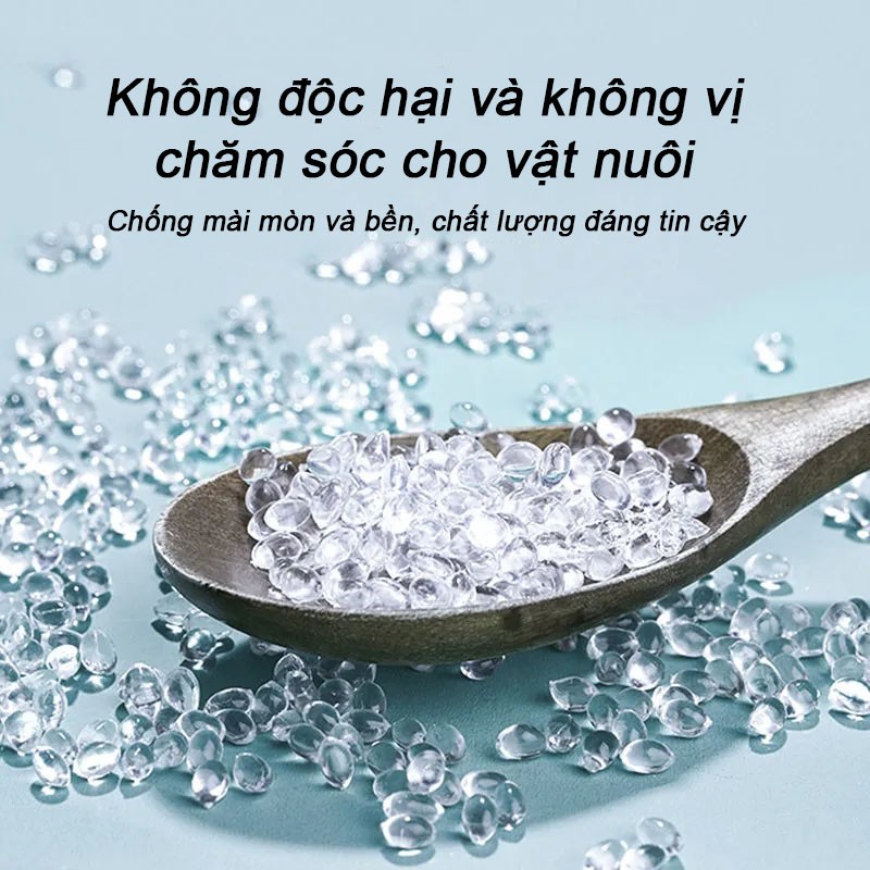 Chó khay cát, khay vệ sinh thú cưng