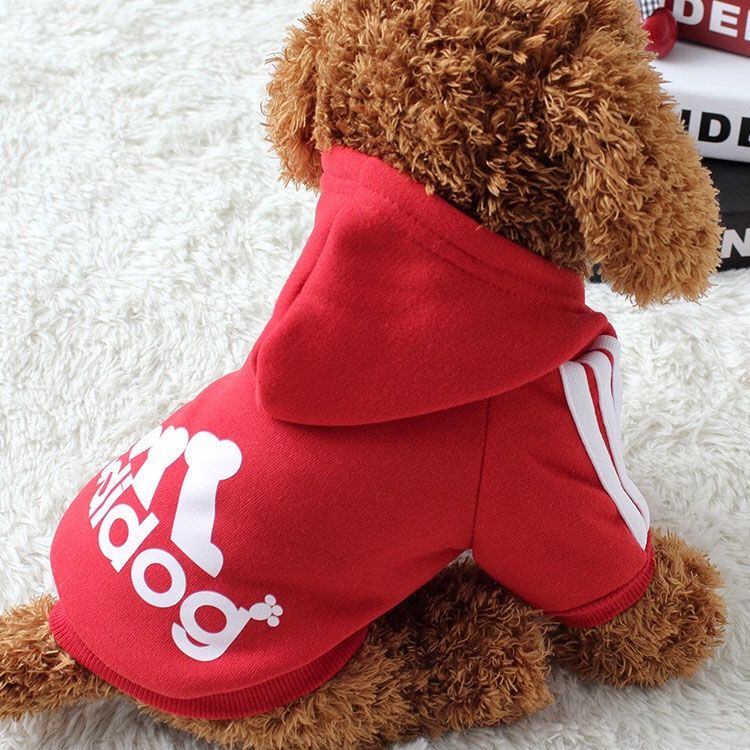 Áo Hoodie MùA Đông ThờI Trang Cho Thú Cưng