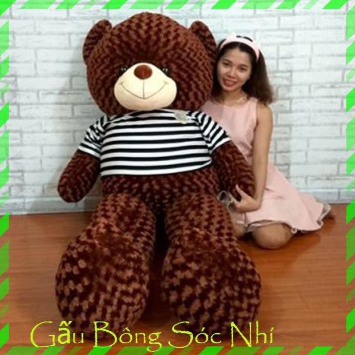 [Mua 1 Tặng 1] Gấu Bông Teddy Size 1m6  FREESHIP  Gấu Bông Sóc Nhí - Mua 1 Gấu Bông Teddy Tặng 1 Gấu Bông Trà Sữa